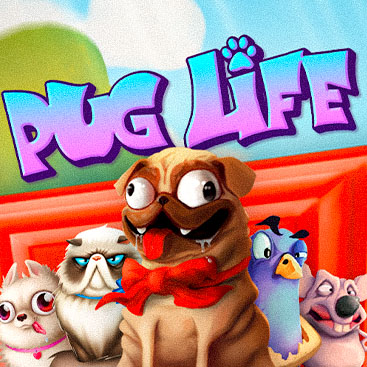 Pug Life