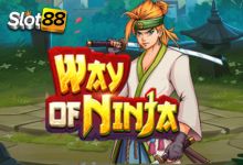 Way Of Ninja